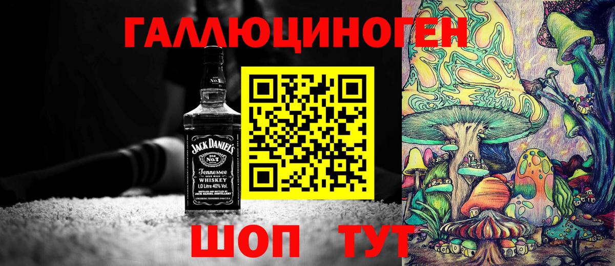 Галлюциногенные грибы Psilocybe Саранск