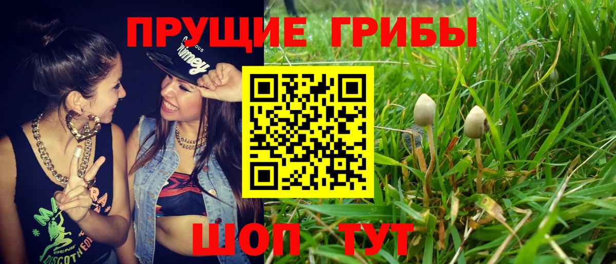 Псилоцибиновые грибы ЛСД  закладка  Вход с VPN  Саранск  Галлюциногенные грибы Psilocybine cubensis 