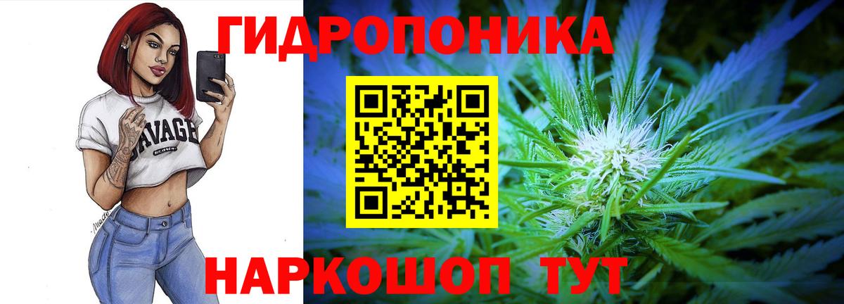 Канабис планчик Саранск